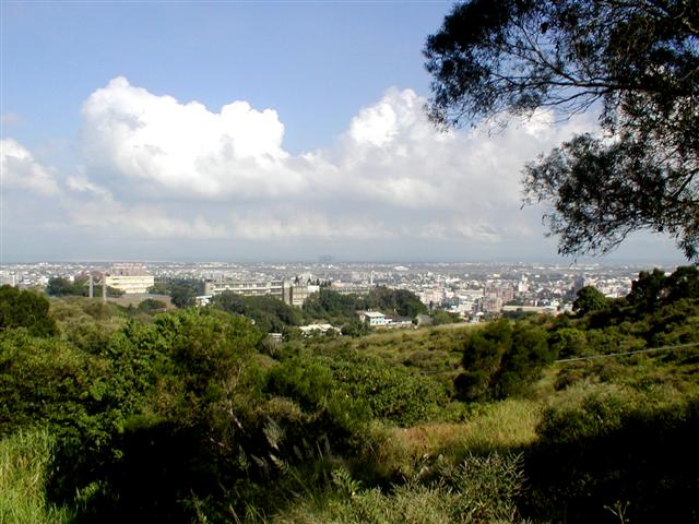 Overlooking Hsinchu from the hills